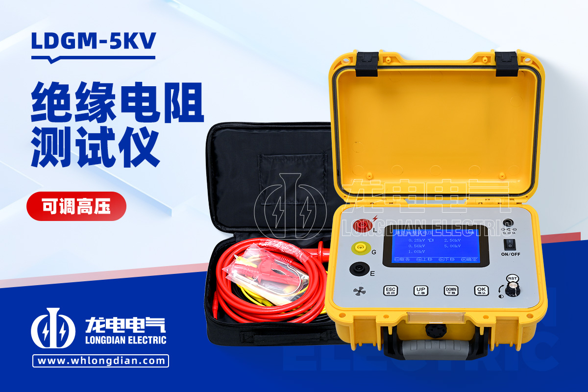 LDGM-5KV 可调高压绝缘电阻测试仪